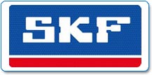 瑞典SKF軸承